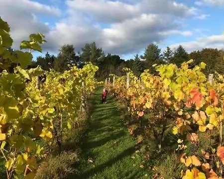 Egebjerggaard Pensión