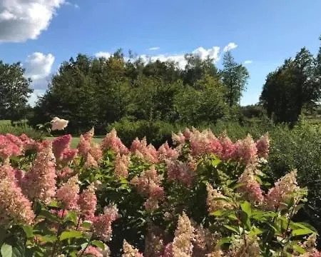 Egebjerggaard Pensión