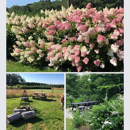 Egebjerggaard Guest house