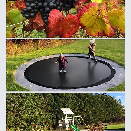 Guest house Egebjerggaard Sig