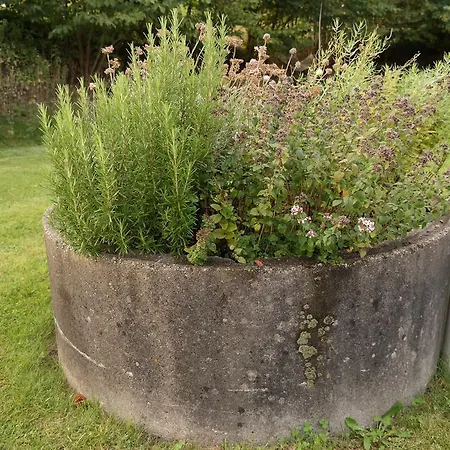 Egebjerggaard Guest house 3*