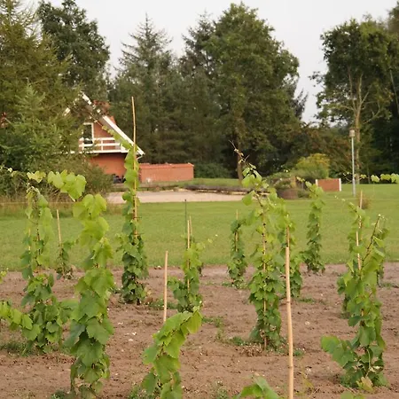 Pensión Egebjerggaard 3*