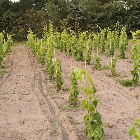 Egebjerggaard Affittacamere