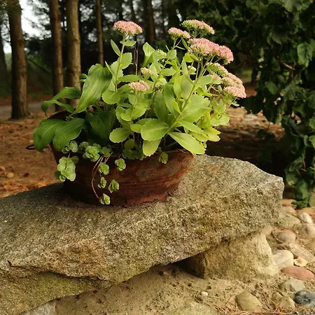 Egebjerggaard Guest house 3*