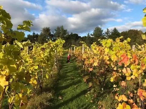 Egebjerggaard Affittacamere