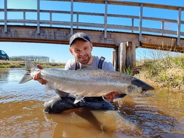 Affittacamere Egebjerggaard Sig