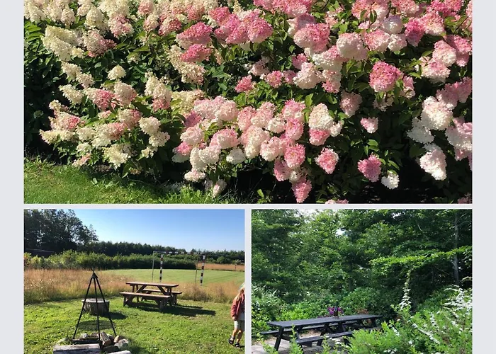 Egebjerggaard Affittacamere