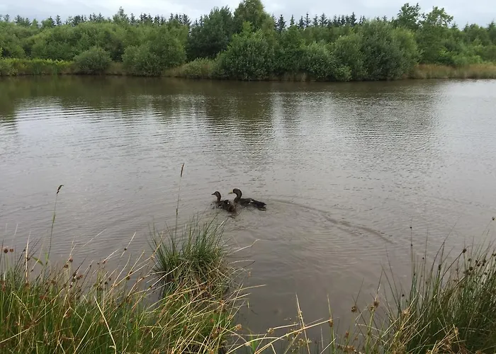 Affittacamere Egebjerggaard Sig