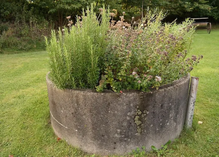 Egebjerggaard Affittacamere 3*